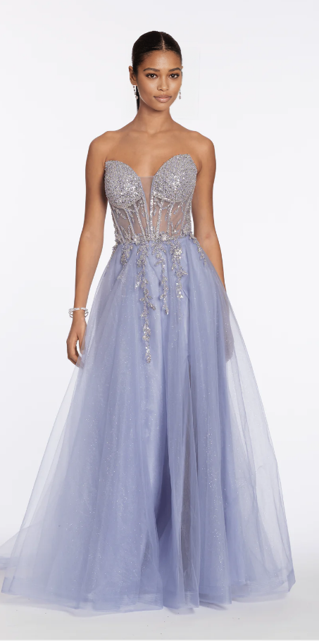 Enchanting Ball Gown Strapless Sheer Back Glitter Mesh A Line Dress Floor-Length Prom Dress