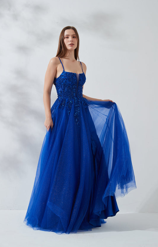 Elegant Glitter A-Line Princess Ball gown Tulle Gown with Corset Bodice for Prom & Wedding Guest