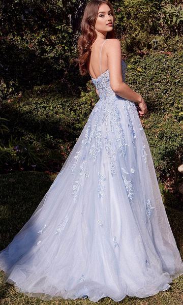 A-Line Princess Floral Embroidered Ball Gown Spaghetti Strap Open Back Floor Length Prom Dress