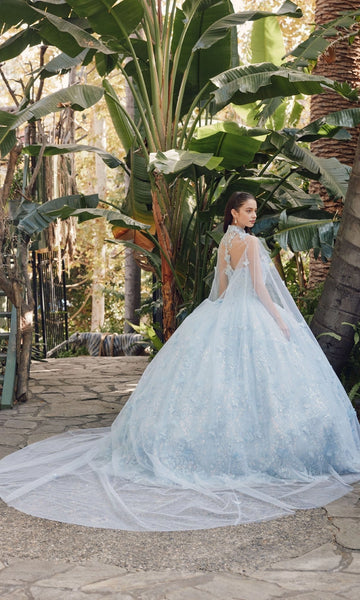 Vedress light blue quinceanera ball gown illusion lace back cathedral-length train detachable tulle cape 3D flower appliques back view