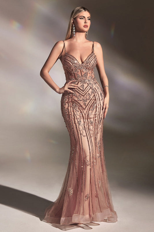Sequin Mermaid Gown Spaghetti Strap Plunge V-Neck Sheer Corset Bodice Embellished Lace Formal Prom & Wedding Guest Dress