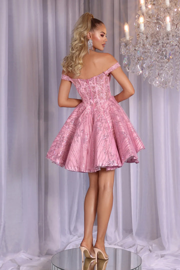 Romantic ALine Off Shoulder Tulle Mini Glitter Corset Homecoming Dress