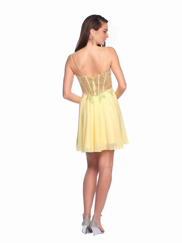 Elegant A-Line V-Neck Sleeveless Chiffon Short Sheer Corset Homecoming Dress