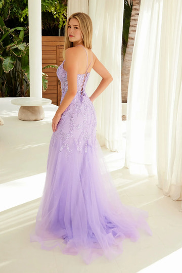 Ethereal Mermaid V-Neck Sleeveless Tulle Floor-Length Lace Evening Dress