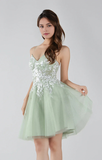 Romantic Aline SpaghettiStrap Tulle Short Lace Homecoming Dress