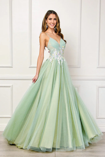 Romantic Ballgown Deep V Neck Sleeveless Tulle Long Floral Applique Prom Dress