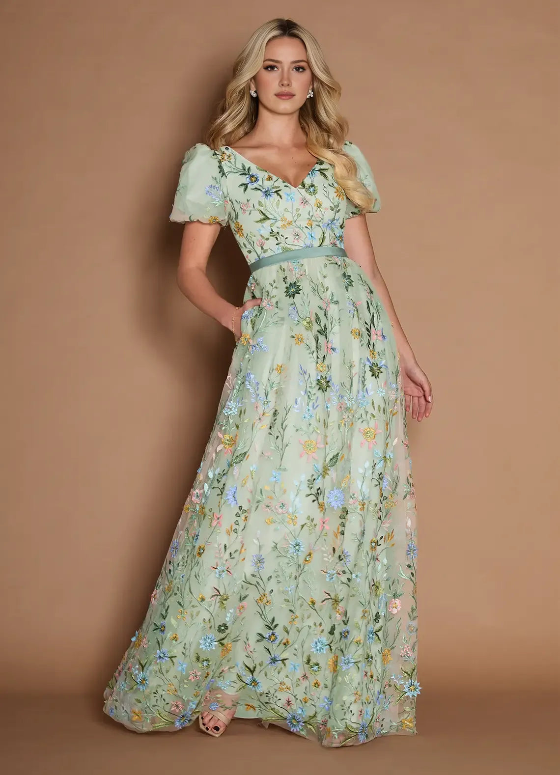 Dreamy Aline Vneck ShortSleeve Tulle Floor Length Waist band Embroidery Party Dress