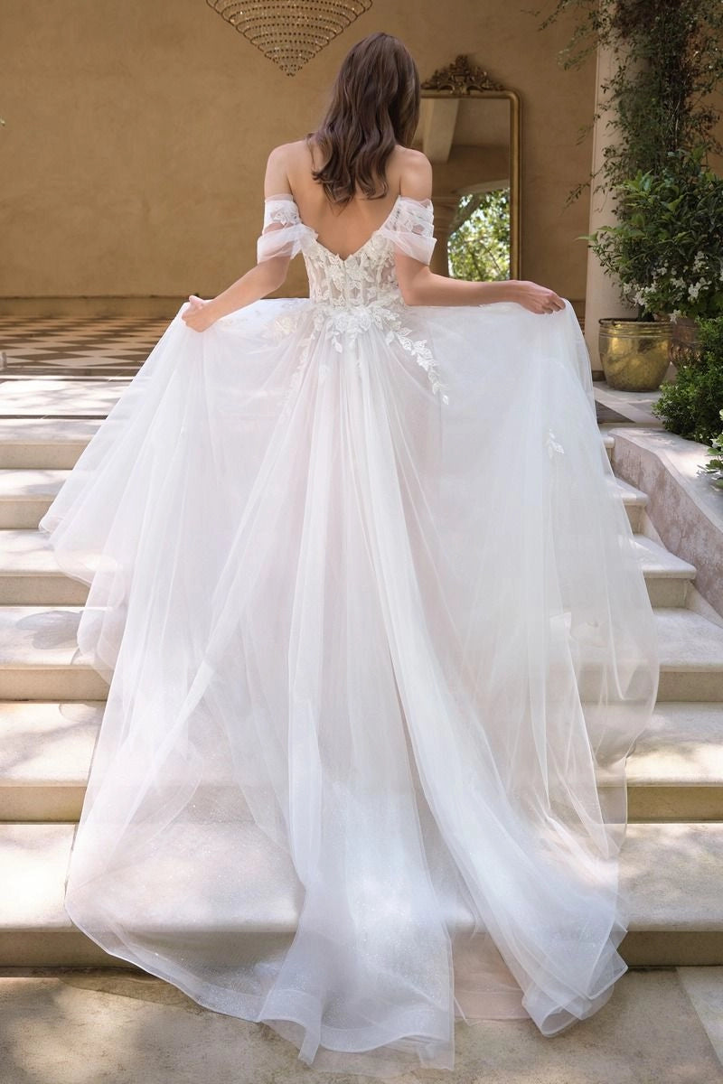 Dreamy A-Line Off Shoulder Short Sleeve V Back Tulle Train Wedding Dress