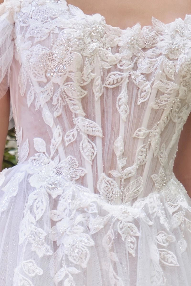 Dreamy A-Line Off Shoulder Short Sleeve V Back Tulle Train Wedding Dress