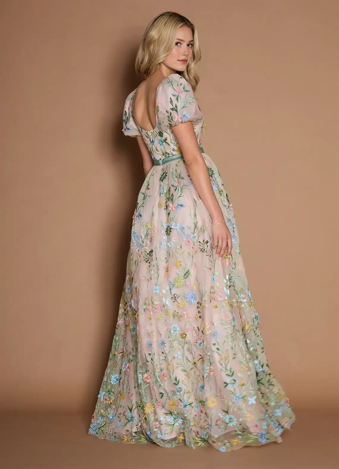 Dreamy Aline Vneck ShortSleeve Tulle Floor Length Waist band Embroidery Party Dress