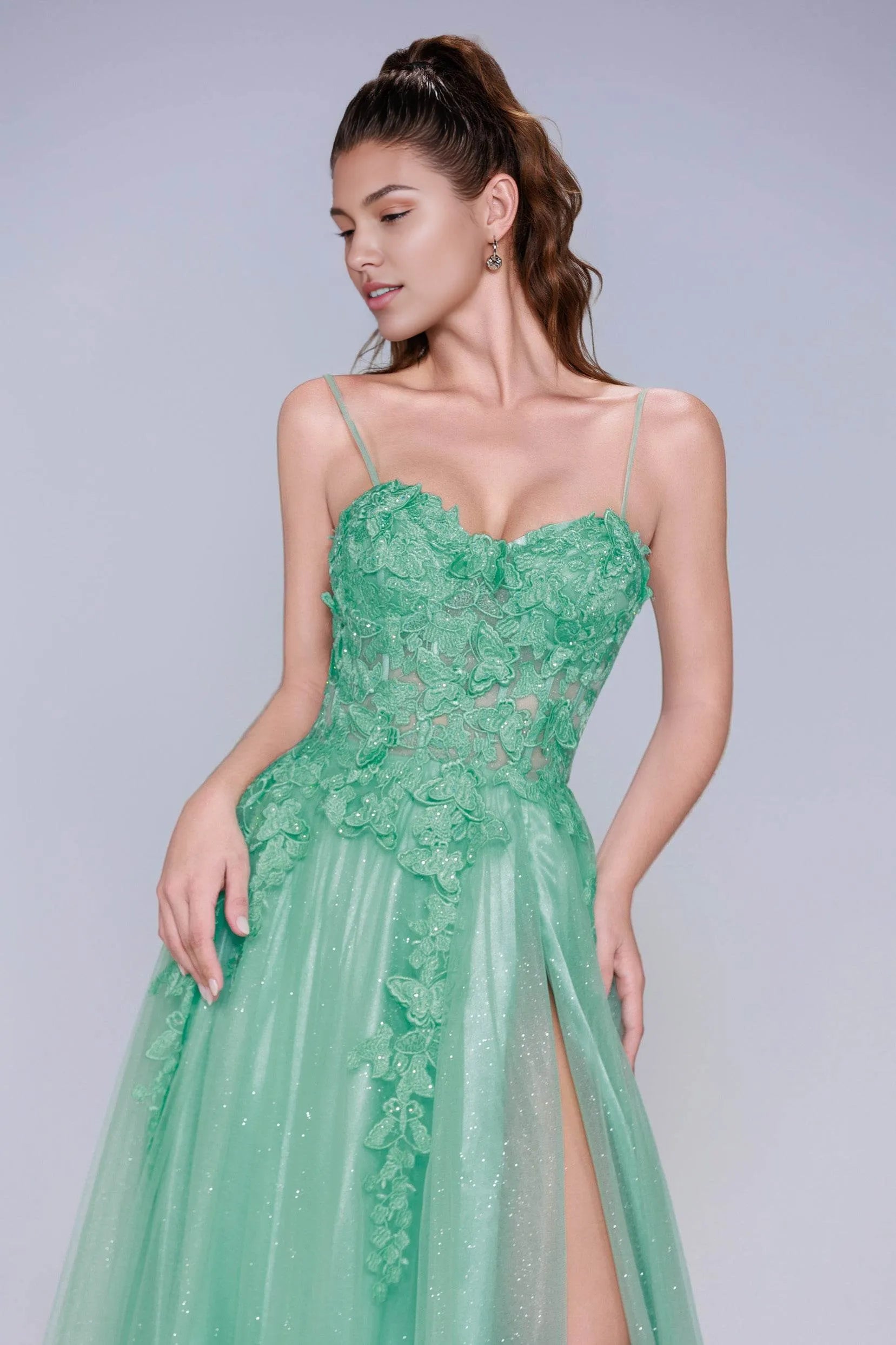Graceful A-Line Sweetheart Spaghetti Strap Glitter Tulle Floral Appliqué Prom Dress