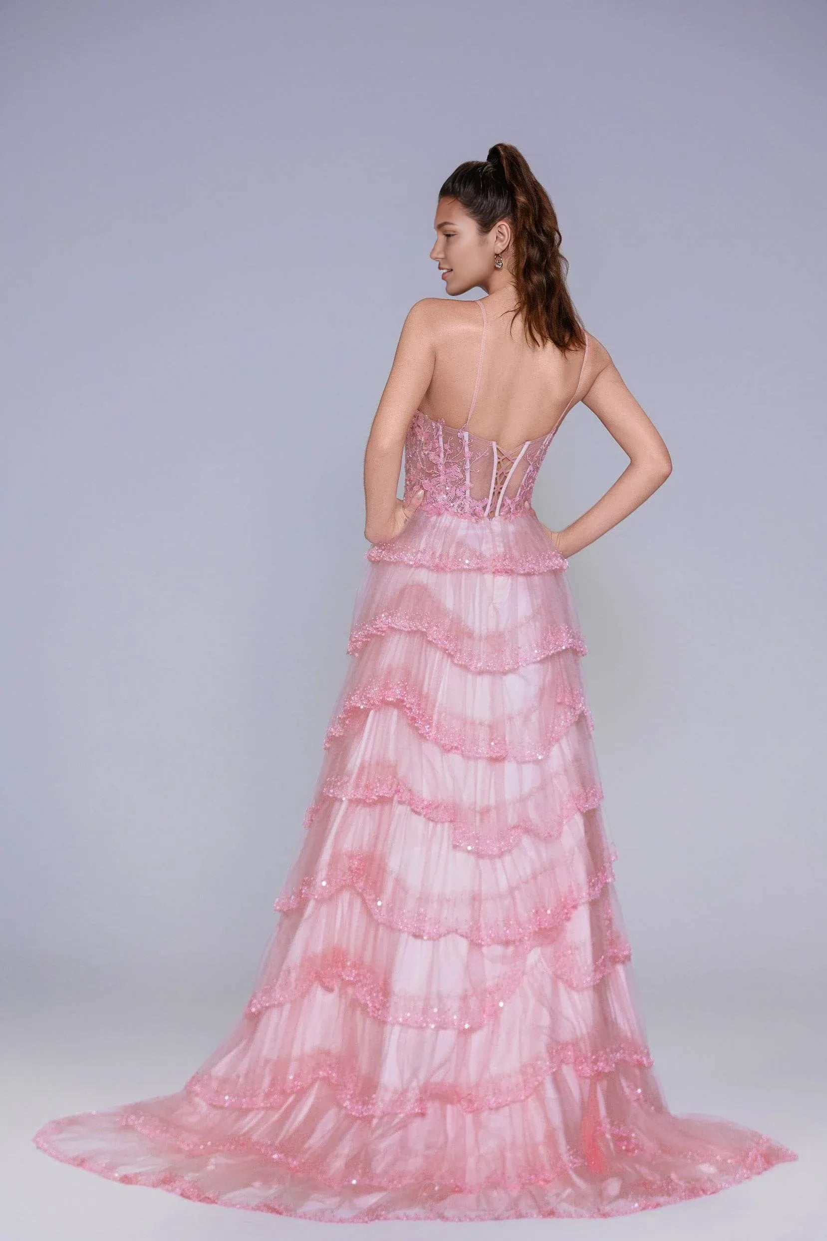 Dreamy A-Line Plunge Neck Spaghetti Strap Tiered Tulle Appliqué Evening Gown