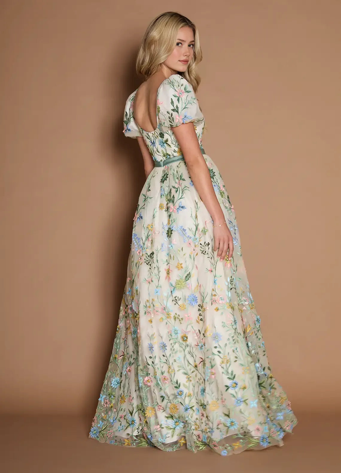 Dreamy Aline Vneck ShortSleeve Tulle Floor Length Waist band Embroidery Party Dress