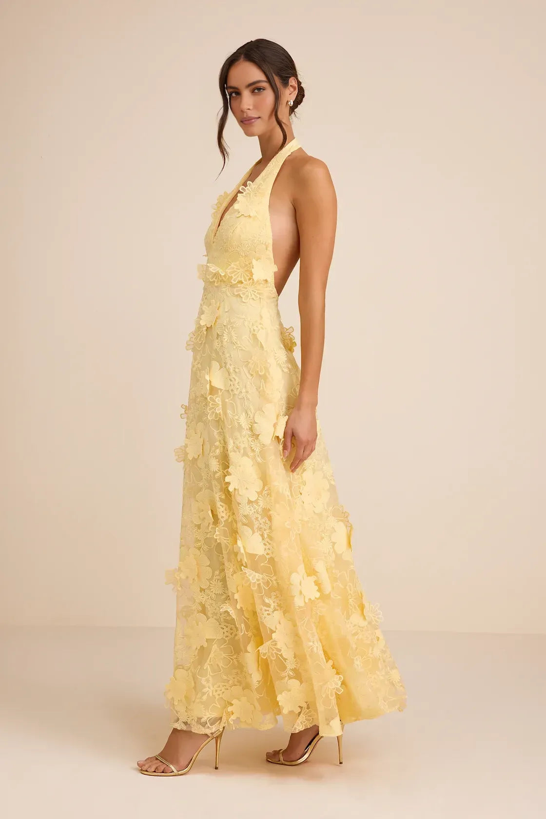 Romantic A-Line Halter V-Neck Sleeveless Lace 3D Floral Applique Maxi Wedding Guest Dress