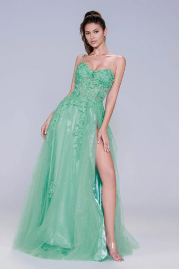Graceful A-Line Sweetheart Spaghetti Strap Glitter Tulle Floral Appliqué Prom Dress