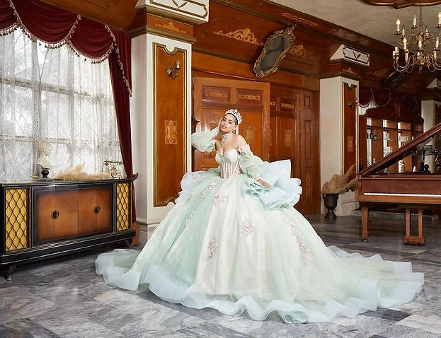 Floral Ball Gown Sweetheart Puff Sleeve Corset Big Bow Train Quinceañera Dress