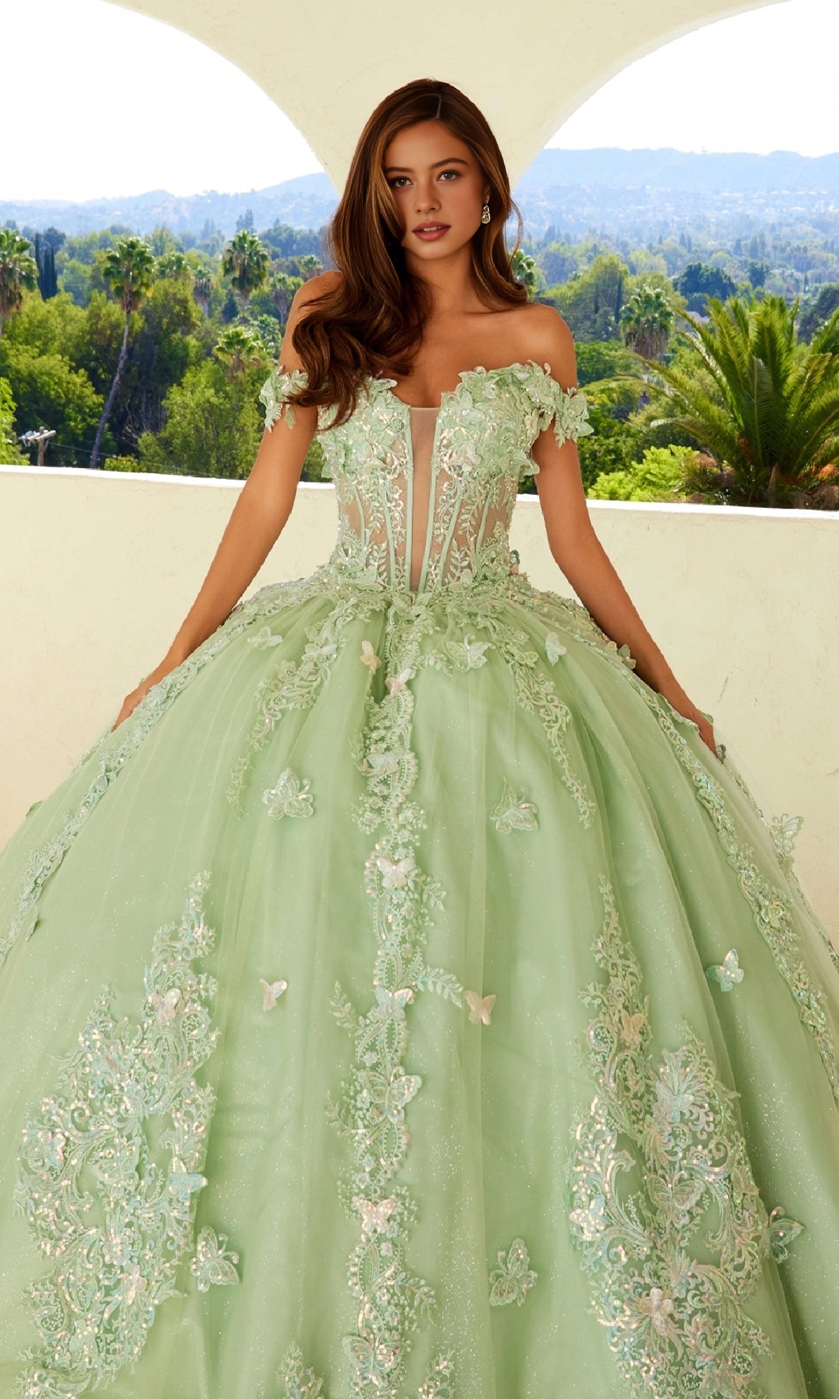 Elegant Ball Gown Off‑Shoulder Ruffle Sleeve Lace‑Up Back Court Train Quinceanera Dress