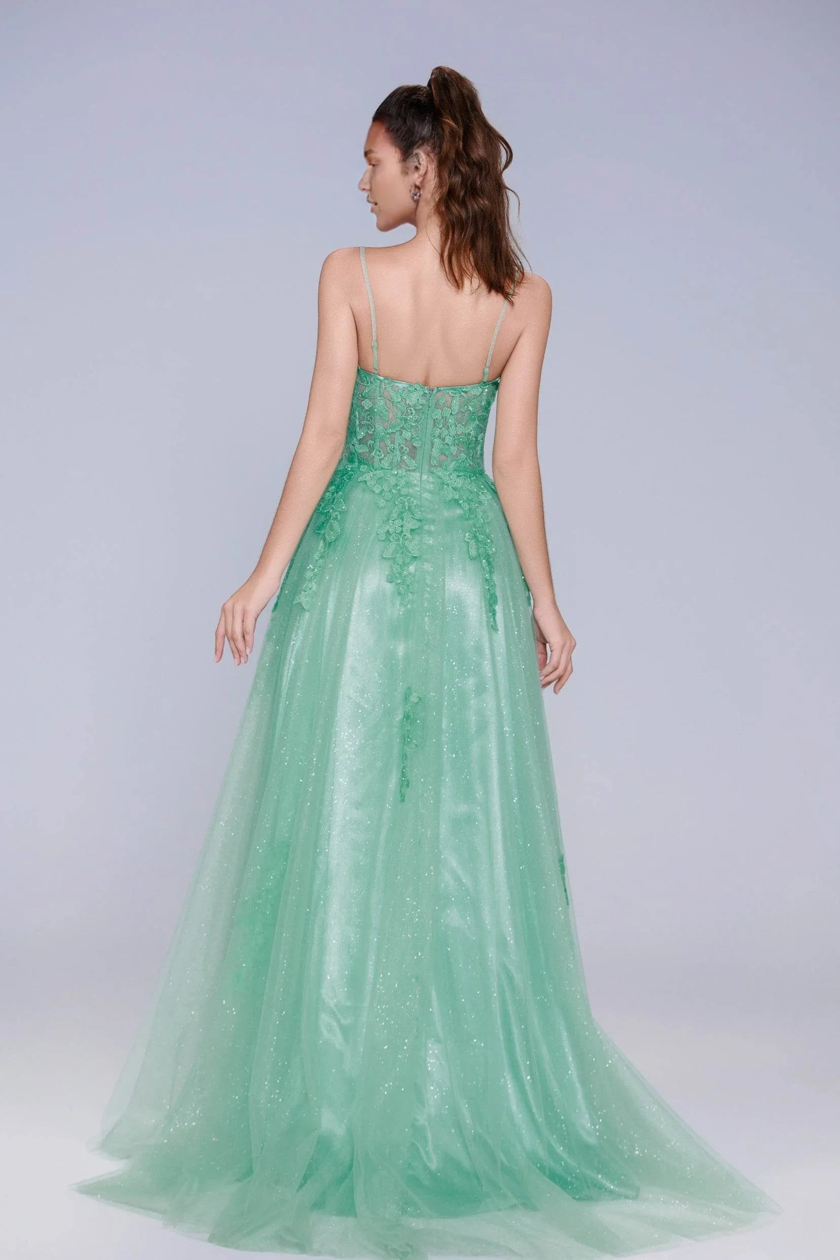Graceful A-Line Sweetheart Spaghetti Strap Glitter Tulle Floral Appliqué Prom Dress