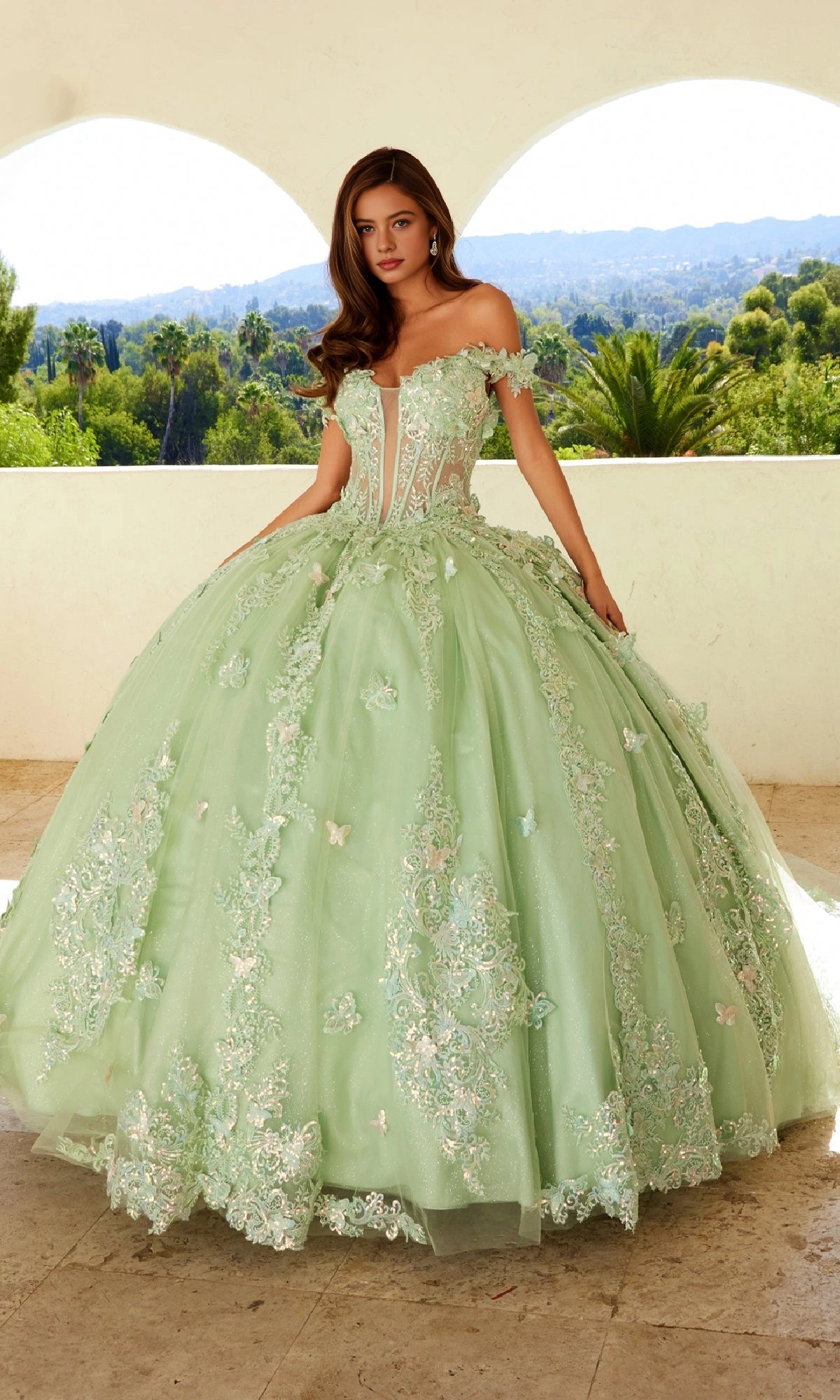 Elegant Ball Gown Off‑Shoulder Ruffle Sleeve Lace‑Up Back Court Train Quinceanera Dress