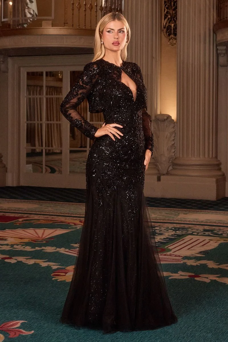 Elegante Vestido de Noche Formal con Mangas Largas Transparentes y Superposición de Lentejuelas Deslumbrantes para Mujer