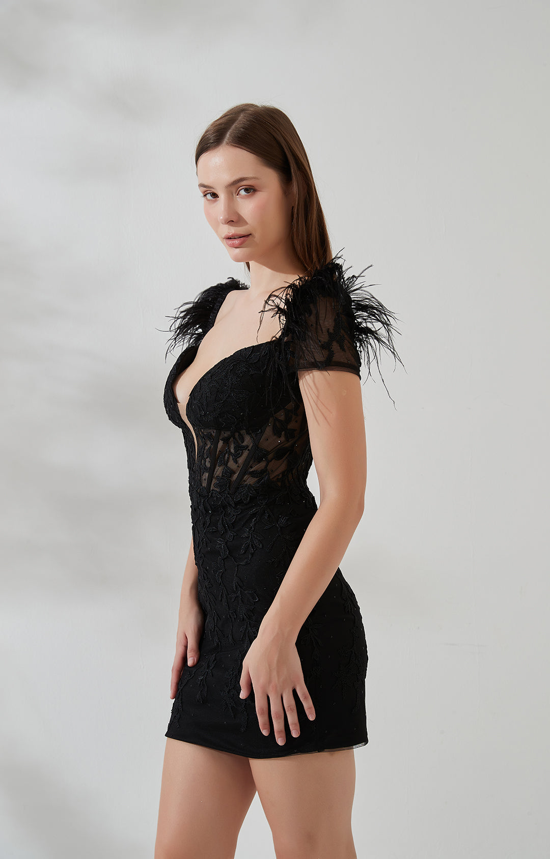 Sheath Cocktail Gown Party Dresses Lace Corset Sweetheart Mini Dress Deep V-Neck Feather Appliqued Homecoming Dresses