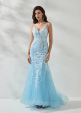 Elegant Mermaid Deep V Neck Spaghetti Crisscross Floor-Length Prom Dress Appliques Tulle Evening Gown