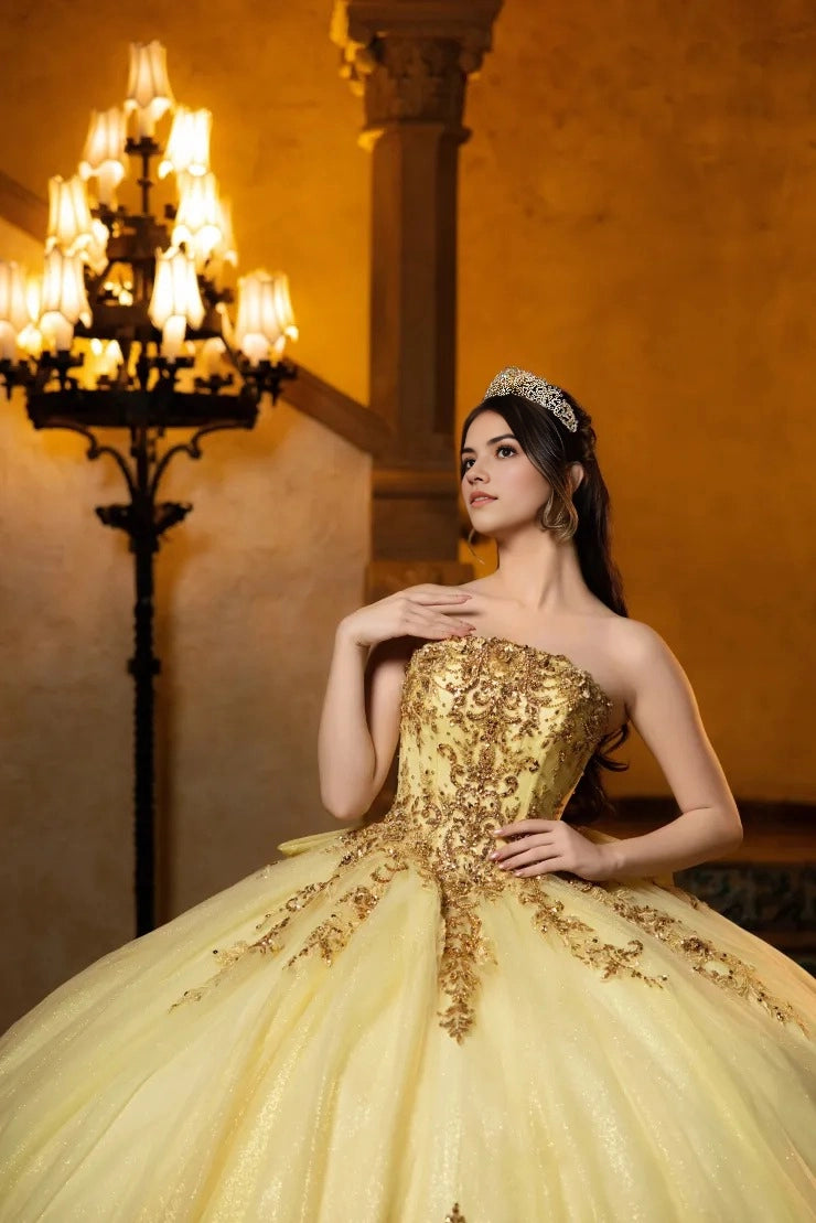 Pale Yellow Off Shoulder Ball Gown Lace-Up Back Court Train Quinceanera Dress