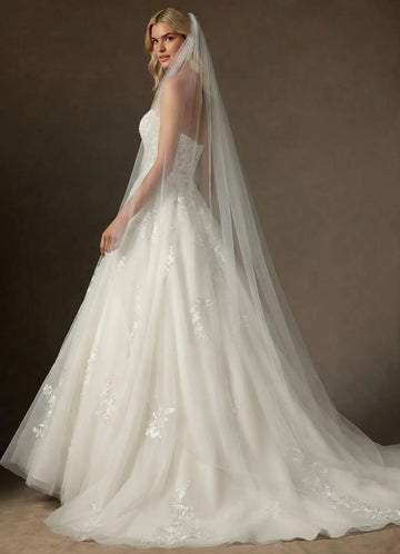 Elegant Sheer Tulle Minimalist Cathedral Length Bridal Wedding Veil