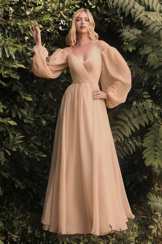 A-Line Skirt Formal Dress for Wedding Guest Chiffon Evening Gown Long Puff Sleeve V-Neck with Pleated Bodice and Flowy