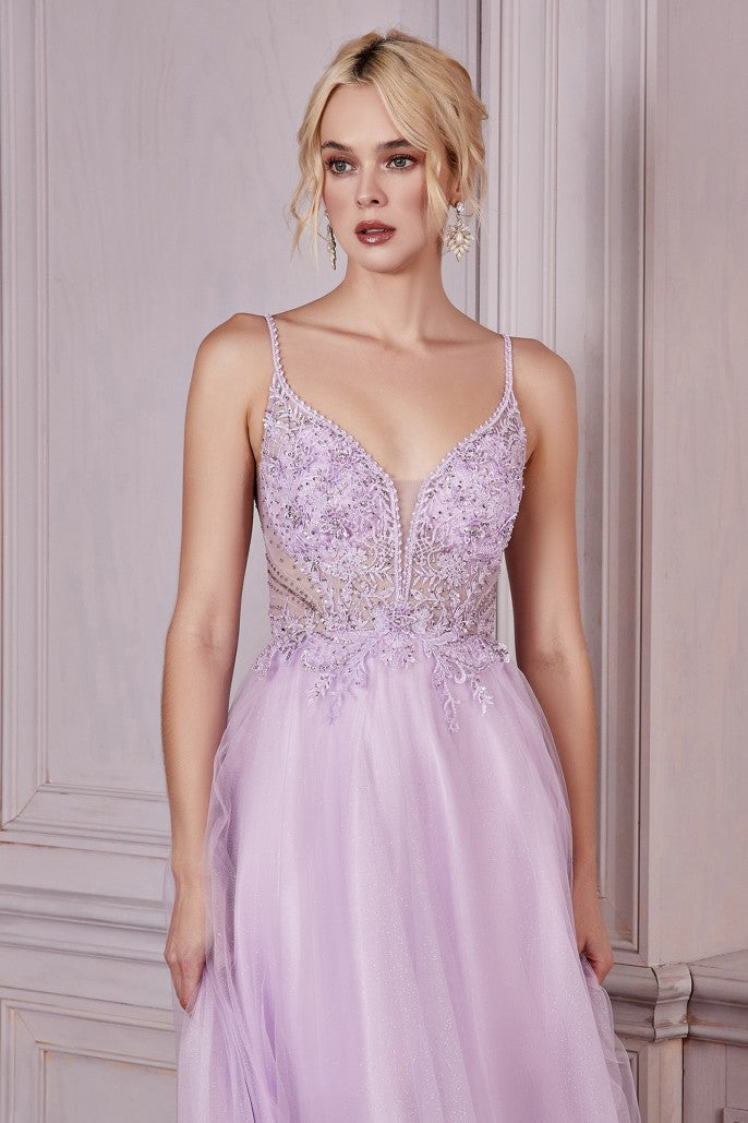 Romantic A-Line Plunge Neck Sleeveless Tulle Beaded Embroidered Prom Gown
