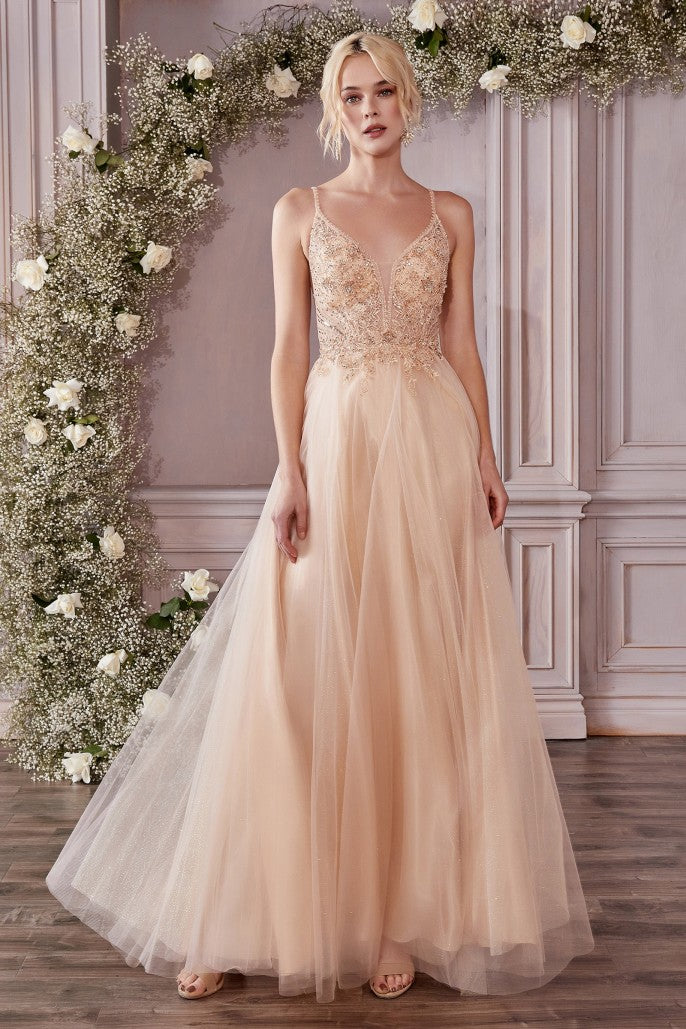 Romantic A-Line Plunge Neck Sleeveless Tulle Beaded Embroidered Prom Gown
