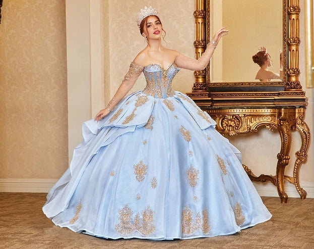 Ball Gown Sweetheart Long Sleeve Corset Bow Train Quinceañera Dress