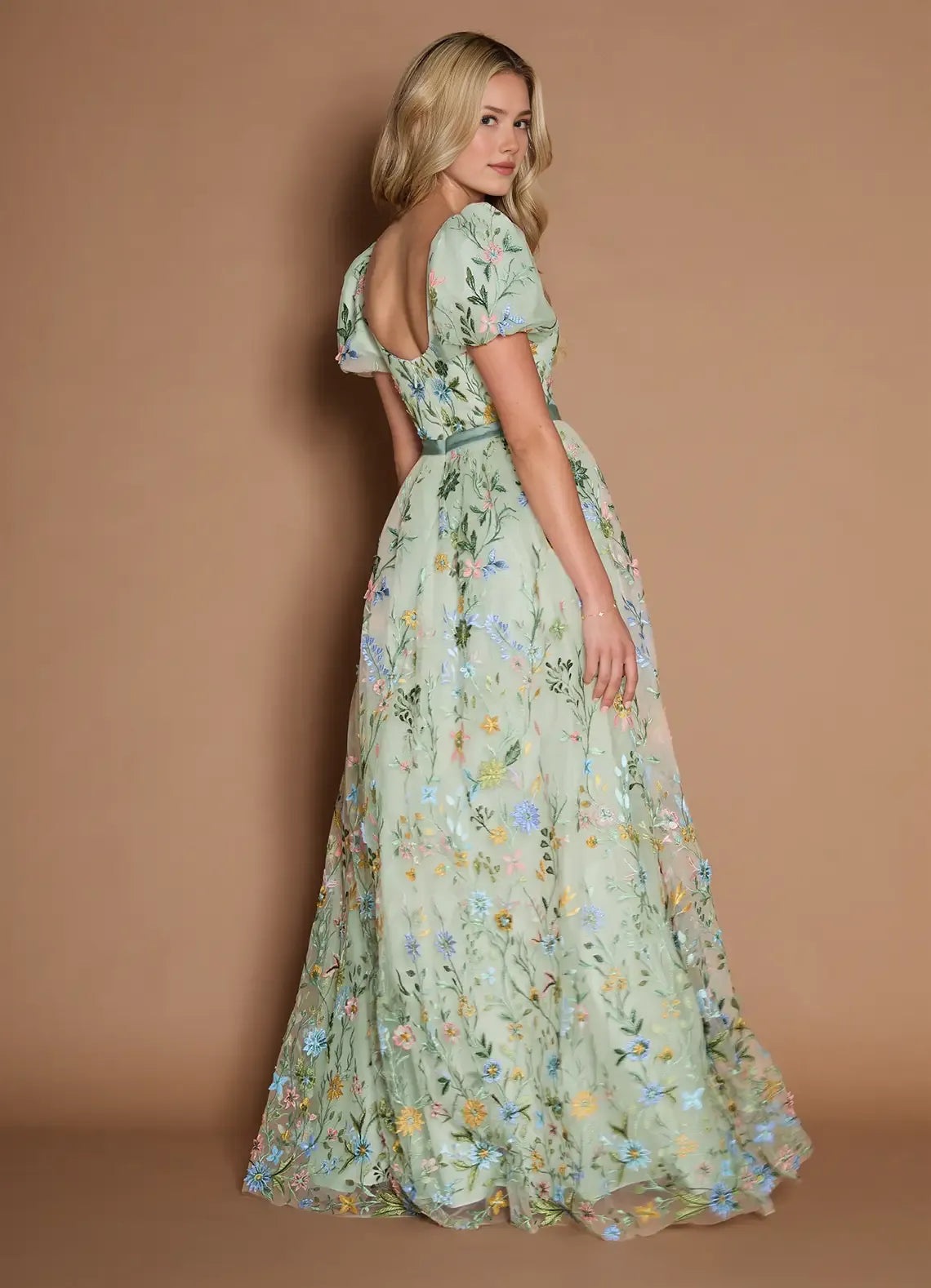 Dreamy Aline Vneck ShortSleeve Tulle Floor Length Waist band Embroidery Party Dress
