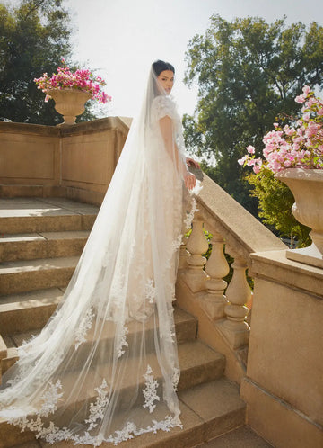 Ethereal Sheer Tulle Scattered Floral Lace Cathedral Bridal Wedding Veil