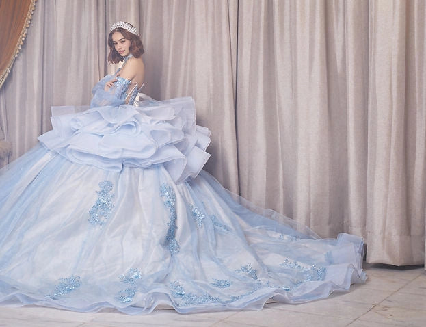 Floral Ball Gown Sweetheart Puff Sleeve Corset Big Bow Train Quinceañera Dress