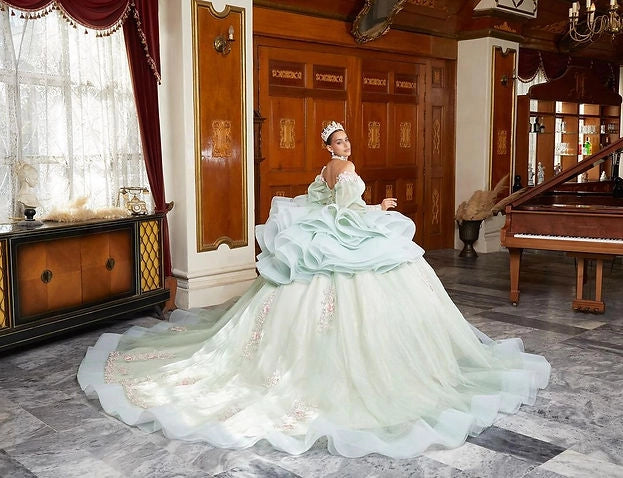 Floral Ball Gown Sweetheart Puff Sleeve Corset Big Bow Train Quinceañera Dress