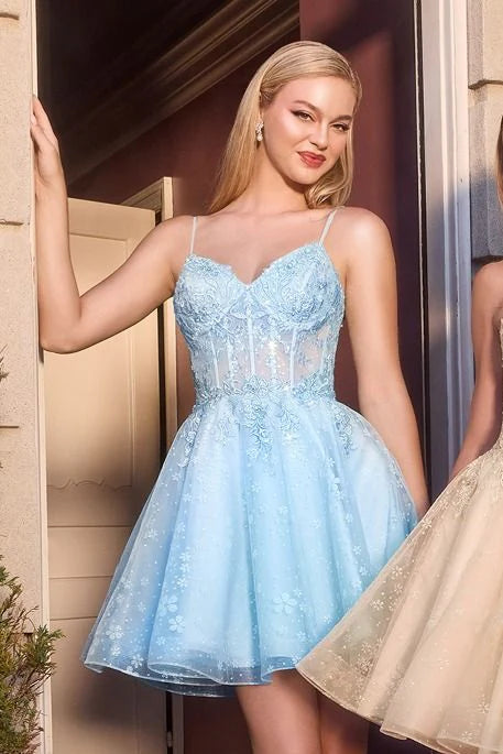 Romantic ALine Sweetheart SpaghettiStrap Tulle Lace Mini Corset Homecoming Dress