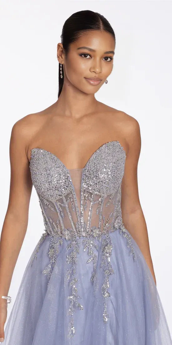 Enchanting Ball Gown Strapless Sheer Back Glitter Mesh A Line Dress Floor-Length Prom Dress
