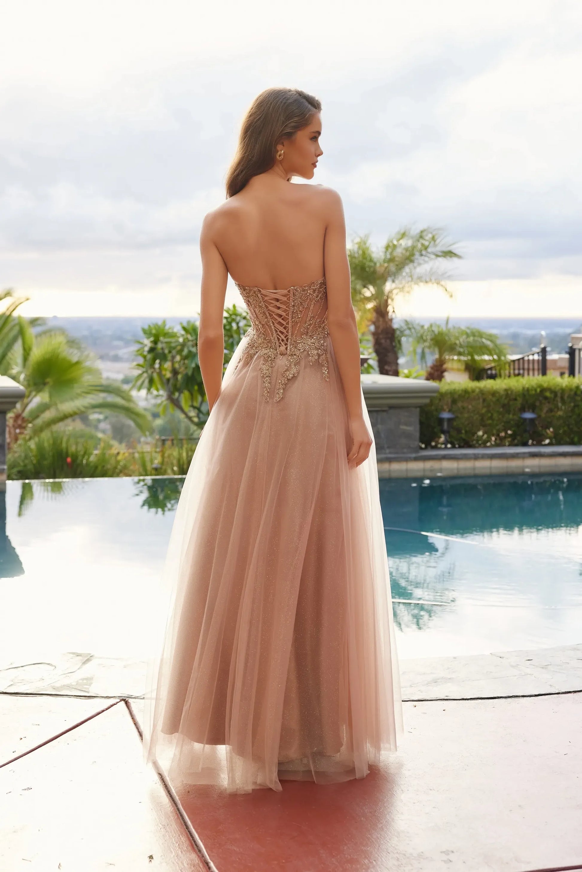 Dreamy ALine Strapless Sleeveless Lace Tulle Long Corset Prom Dress