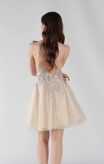 Elegant A Line Deep V Neck Tulle Short Floral Applique Homecoming Dress