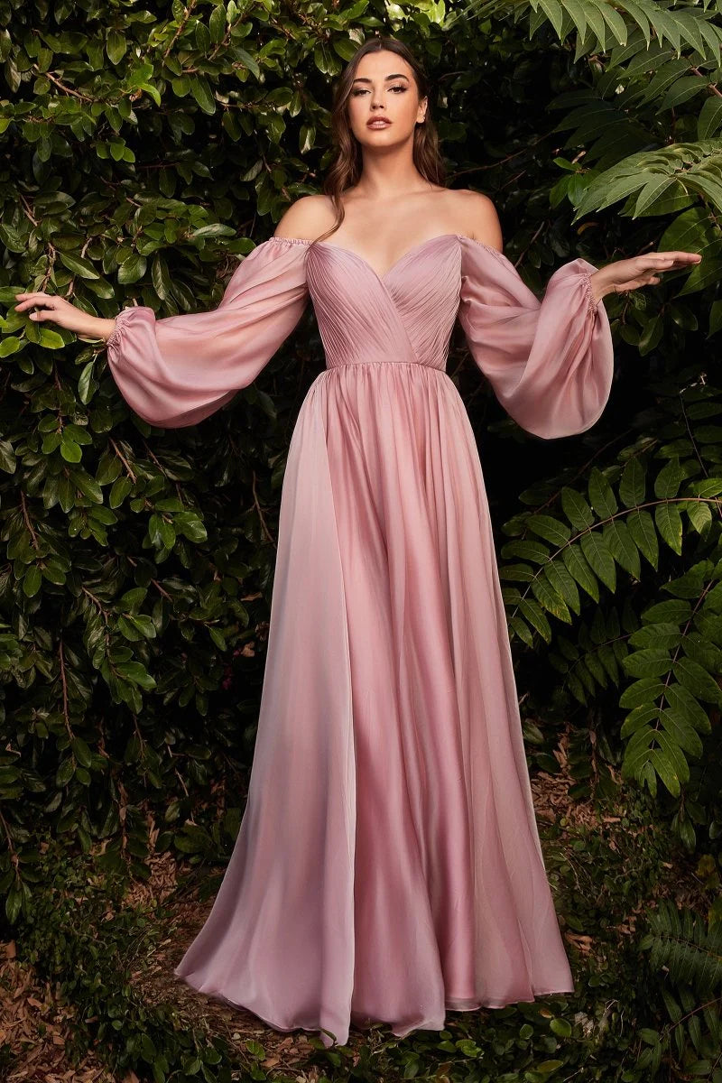 Elegant A-line Sweetheart-neck Long-sleeve Chiffon Floor-length Pleated Bodice Evening Gown