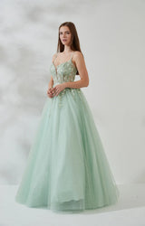 Embroidered Ballgown V-Neck Sleeveless Tulle Floor-Length Lace-Up Prom Dress