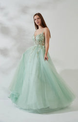 Embroidered Ballgown V-Neck Sleeveless Tulle Floor-Length Lace-Up Prom Dress