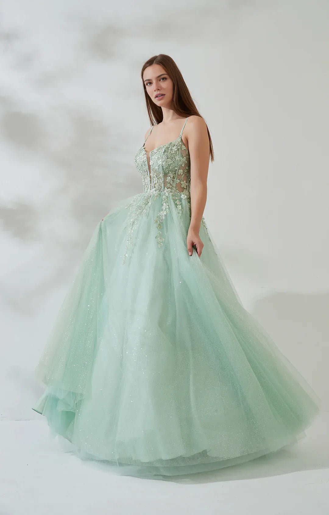 Embroidered Ballgown V-Neck Sleeveless Tulle Floor-Length Lace-Up Prom Dress