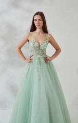 Embroidered Ballgown V-Neck Sleeveless Tulle Floor-Length Lace-Up Prom Dress