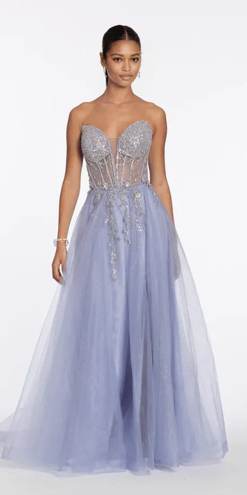 Enchanting Ball Gown Strapless Sheer Back Glitter Mesh A Line Dress Floor-Length Prom Dress