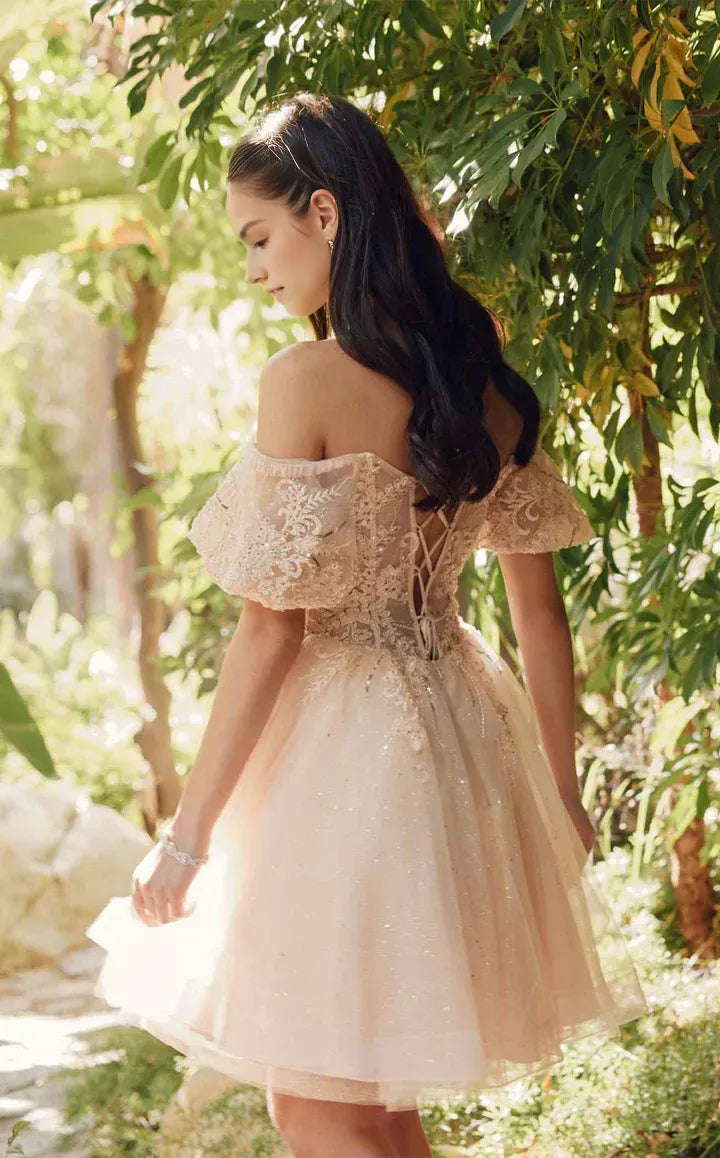 Flared Off Shoulder Sweetheart Neck Puff Sleeve Tulle Short Homecoming Dress