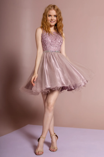 Elegant Lace Applique Tulle Scoop Neck Sleeveless Open Back Short Formal A Line Short Cocktail Dress