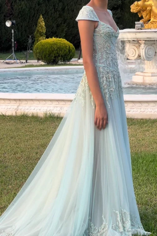 A-Line Tulle Prom Dress Cap Sleeves Beaded Lace Appliques V Neck Evening Gown with Train