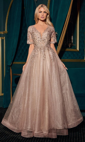 Opulent A-Line V-Neck Short Sleeve Tulle Maxi Beaded Lace Evening Gown